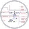 麻花星空mv正片在线观看免费手机版